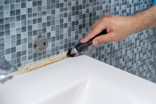 Office Mold Removal Services in Suny Oswego, NY