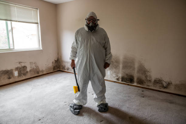 Best Residential Mold Removal  in Su Oswego, NY